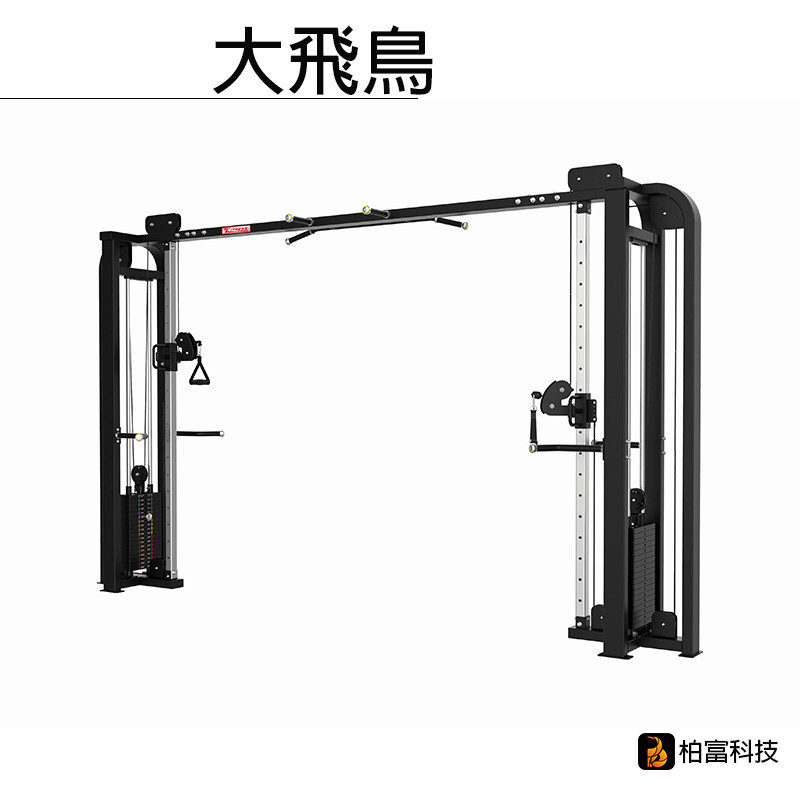 預購/含運)大飛鳥- 柏富科技-解決你無法運動的大小事